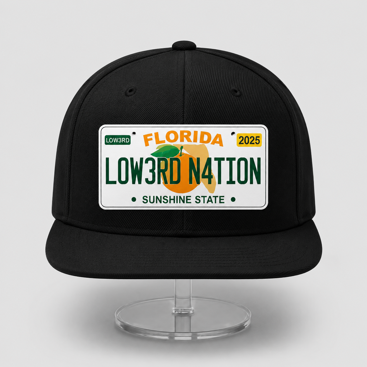 License Plate Hat
